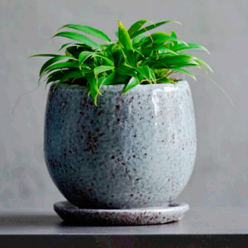 楽天市場】植木鉢 おしゃれ 陶器鉢 アンジェラS (5色)＜ 8.5cm 3号 穴