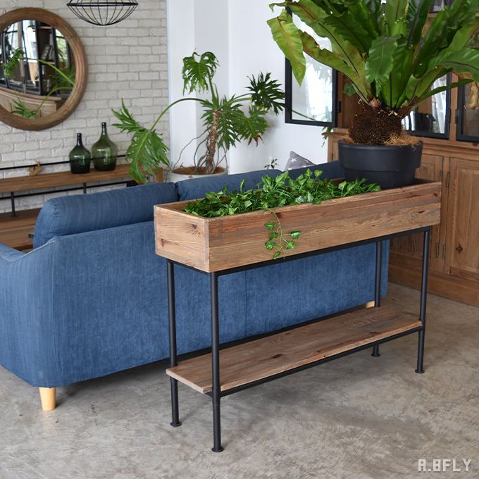 楽天市場】シェルフ フラワースタンド プランター 間仕切り 観葉植物