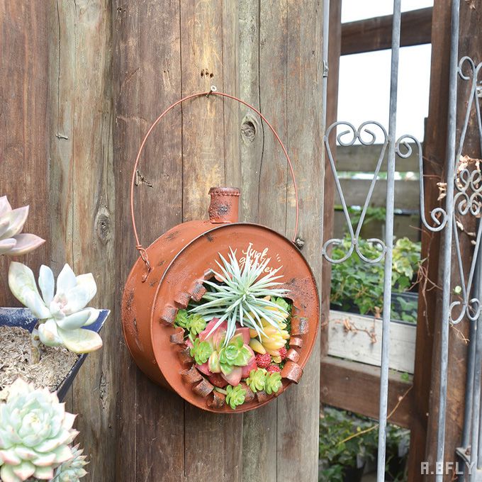 楽天市場】【SS限定｜最大8,000円OFFクーポン】プランター 多肉植物