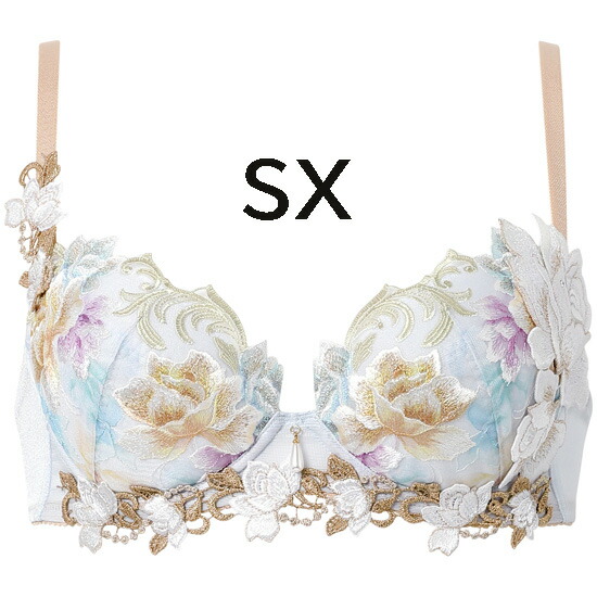 サルート ブラジャー」の人気商品一覧 | 安い商品を通販サイトから探す