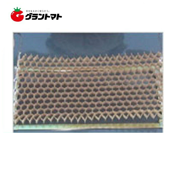 楽天市場】播種育苗用資材 チェーンポット CP-303 150冊 箱売り ネギ