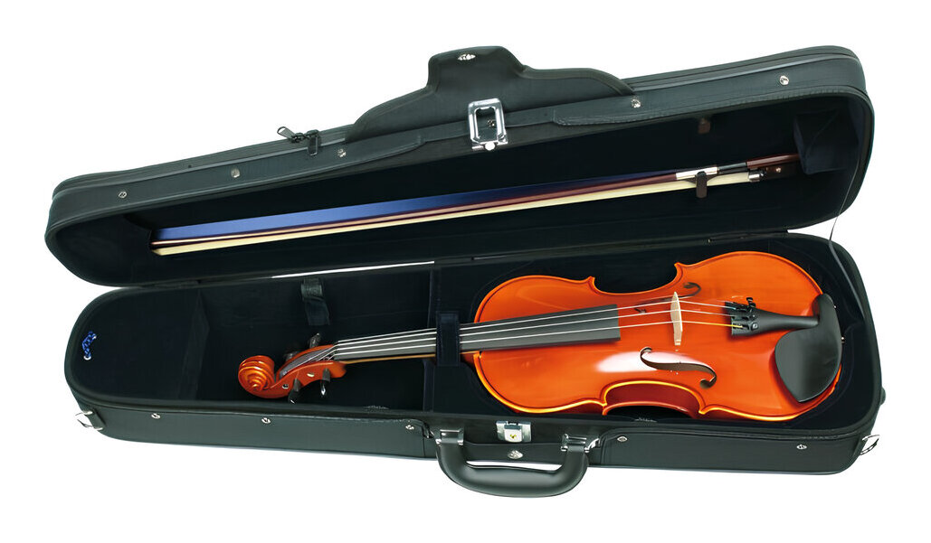 楽天市場】【送料込】EASTMAN VL80セット 4/4サイズ バイオリンセット