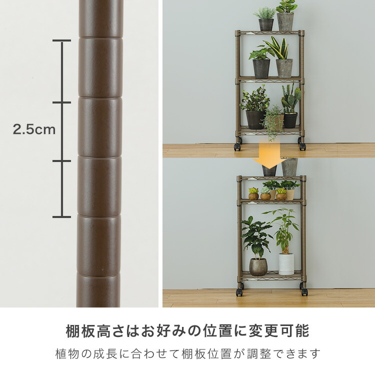 楽天市場】選べる5色 植物 棚 観葉植物 ラック 多肉植物 屋内 さびに