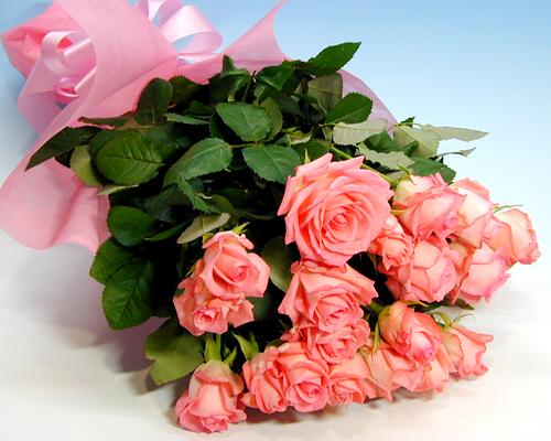 楽天市場】【バラの花束】お買い得ピンクバラ20本の花束 お誕生日