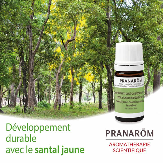 楽天市場】プラナロム サンダルウッド エッセンシャルオイル /送料無料