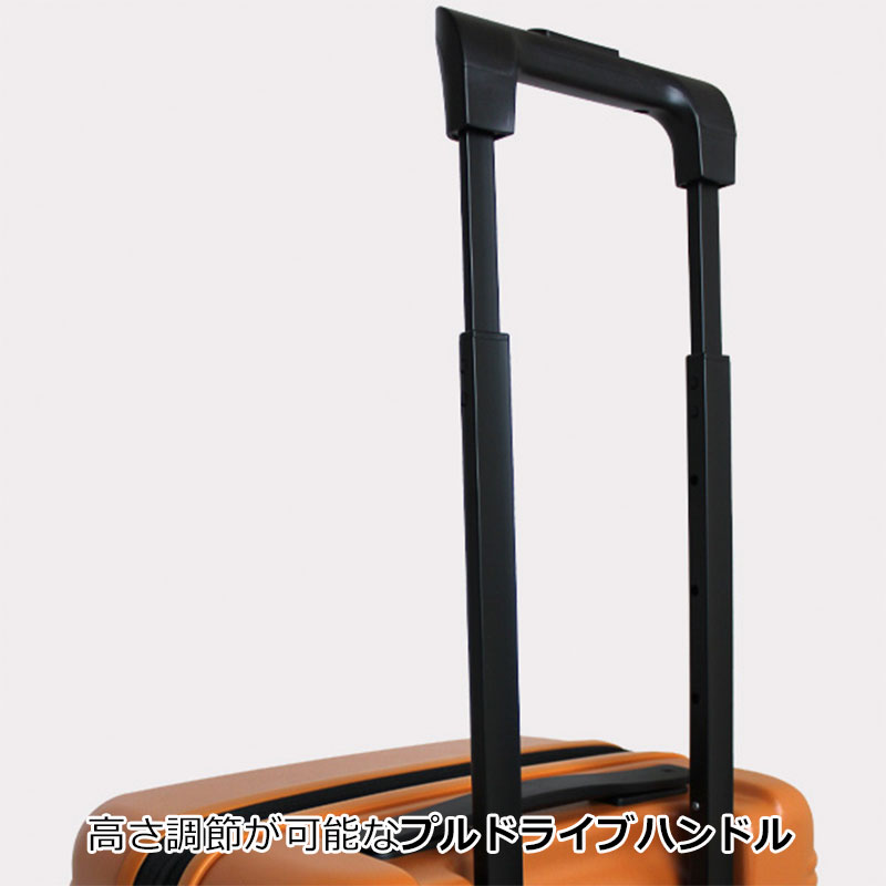 楽天市場】【30%OFF】P10倍 エース ace. スーツケース ウォッシュ