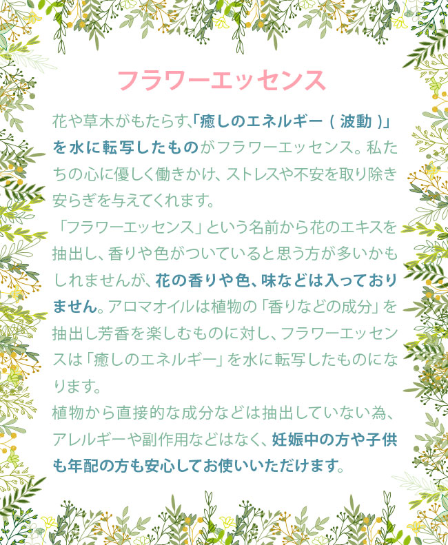 楽天市場】ビューティー＆ビースト Beauty and the Beast パワーオブ