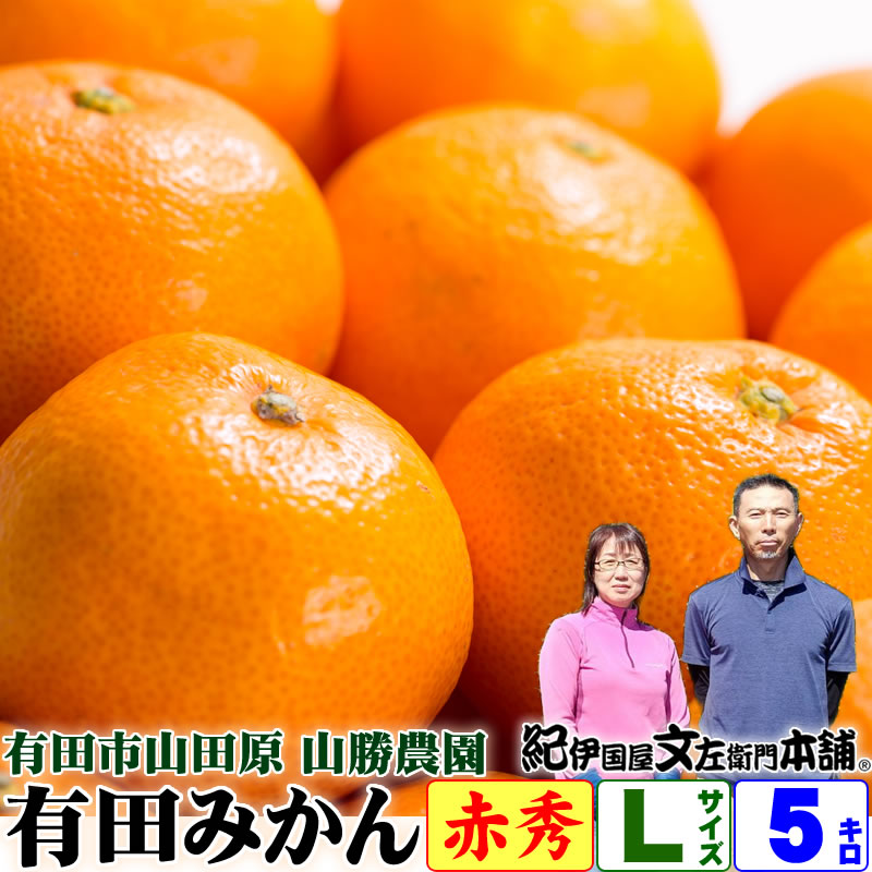 楽天市場】2024年分【完売御礼】数量限定【予約】山勝農園 久世さん