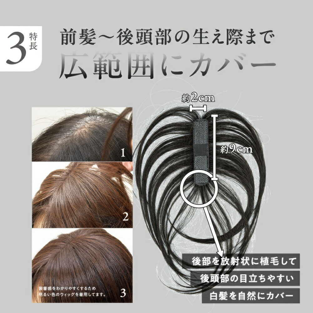 楽天市場】シートエクステ ショート（ブラウン） 1枚 【送料無料(全国