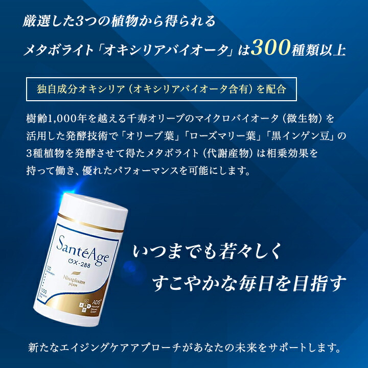 楽天市場】サンテアージュ ニナファーム OX-288 180粒 サプリメント 1