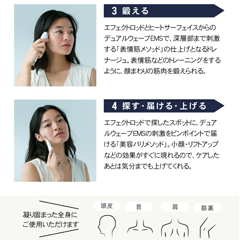 楽天市場】【楽天1位/正規品販売店/送料無料/選べるカラー】ステラ