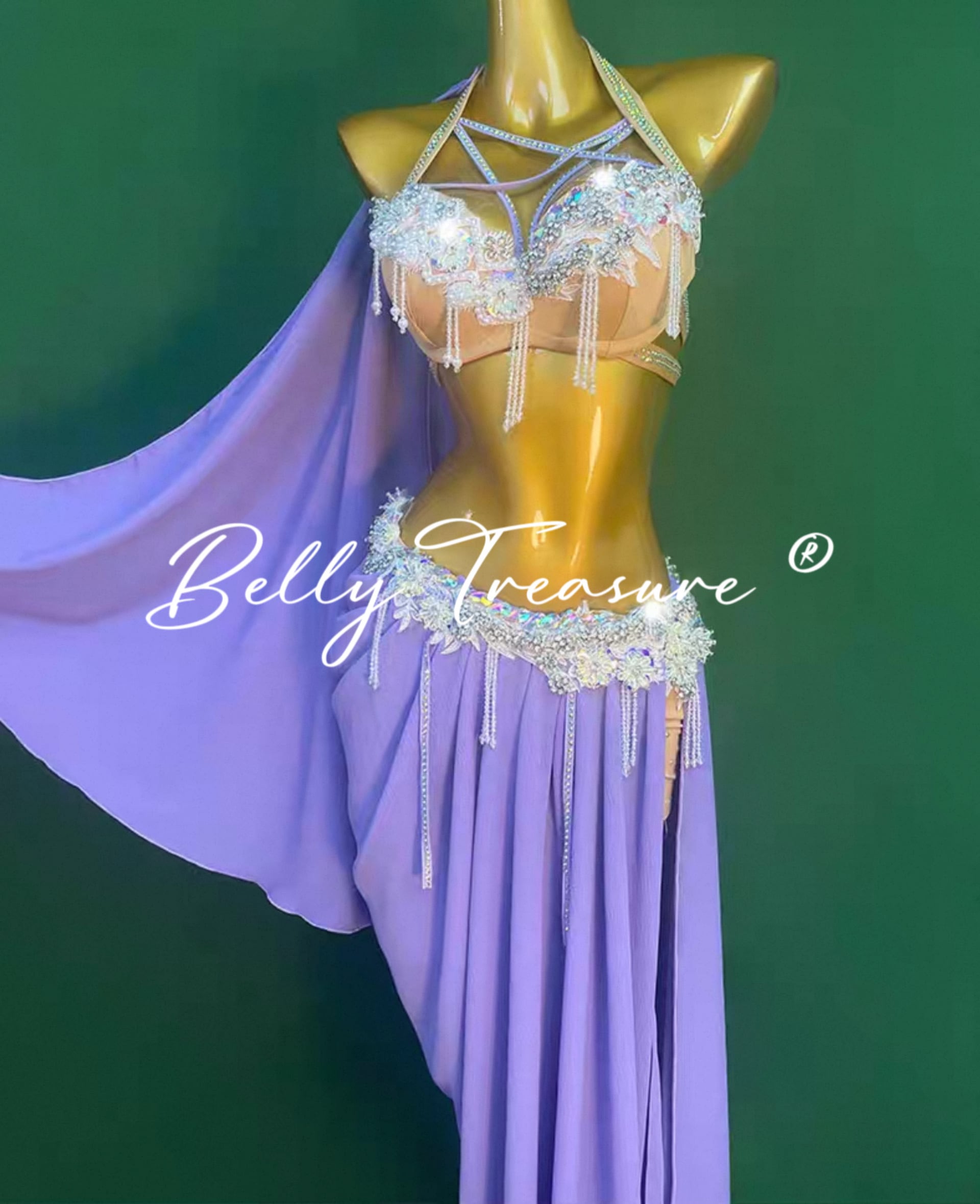 楽天市場】ベリーダンス衣装 ベリーダンス 衣装 ベリー ダンス ブラ