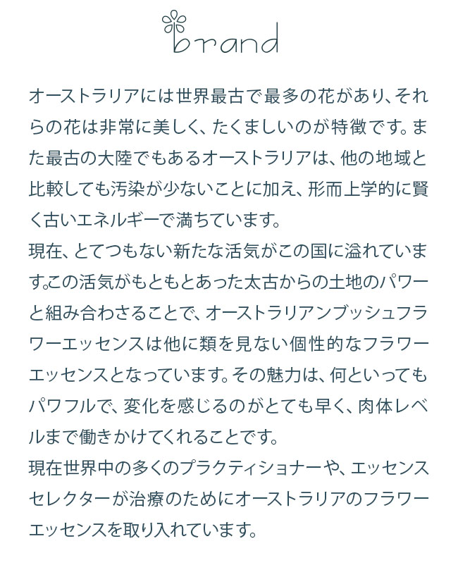 楽天市場】サイキックプロテクションエッセンスペンダント パープル