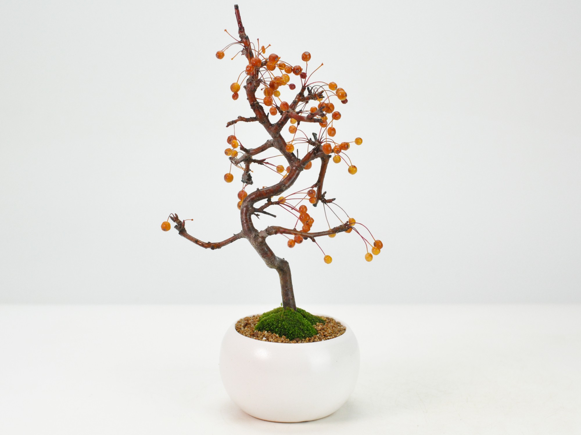 楽天市場】盆栽 ミニ盆栽 ズミ りんご 実のなる盆栽 海棠 鉢花 鉢植え