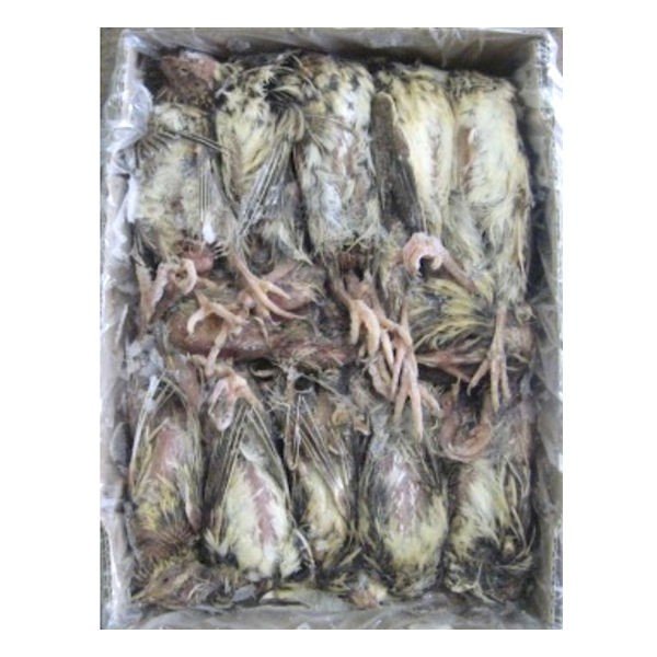 楽天市場】【クール便発送】 国産の冷凍親ウズラ 処理なし 30羽 冷凍餌