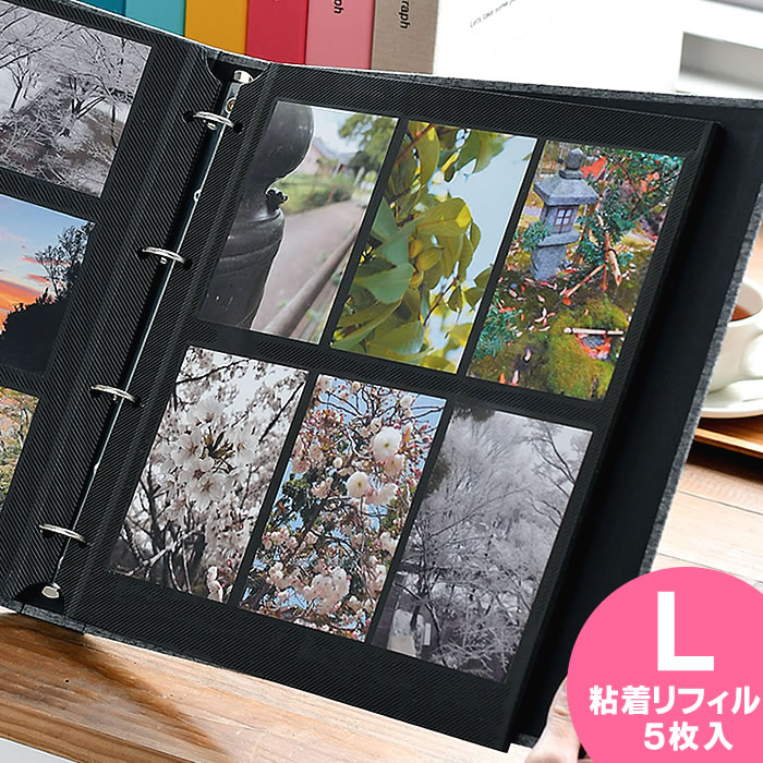 楽天市場】【3月1日は最大ポイント10倍祭♪】PDフォトアルバム 【L