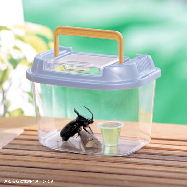 楽天市場】【楽天スーパーSALE☆最大16%OFF】飼育ケース 虫かご 昆虫
