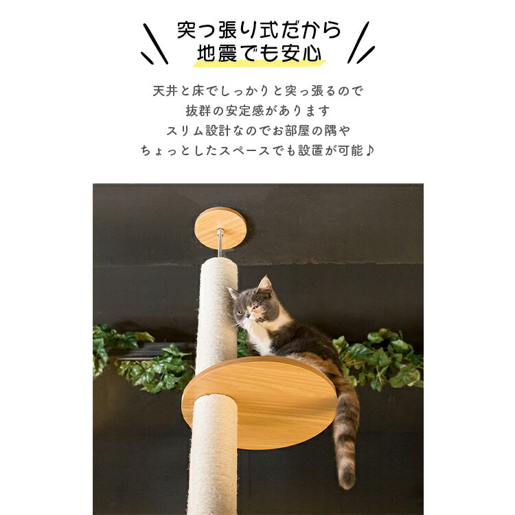 楽天市場】【楽天スーパーSALE☆最大46%OFF】キャットタワー 突っ張り