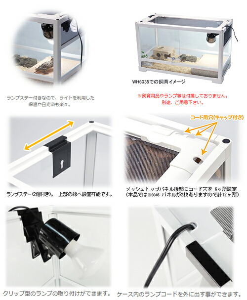 楽天市場】【3／5限定】当選確率2分の1！1等最大100％ 爬虫類