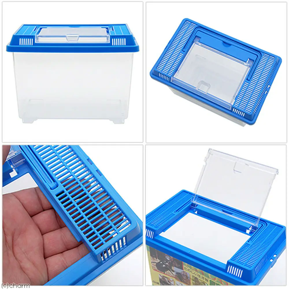 楽天市場】簡単カブトムシ・クワガタ飼育用品セット 関東当日便