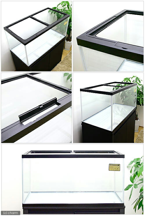 楽天市場】（大型）ニュークリスタル・カラフル水槽（90×45