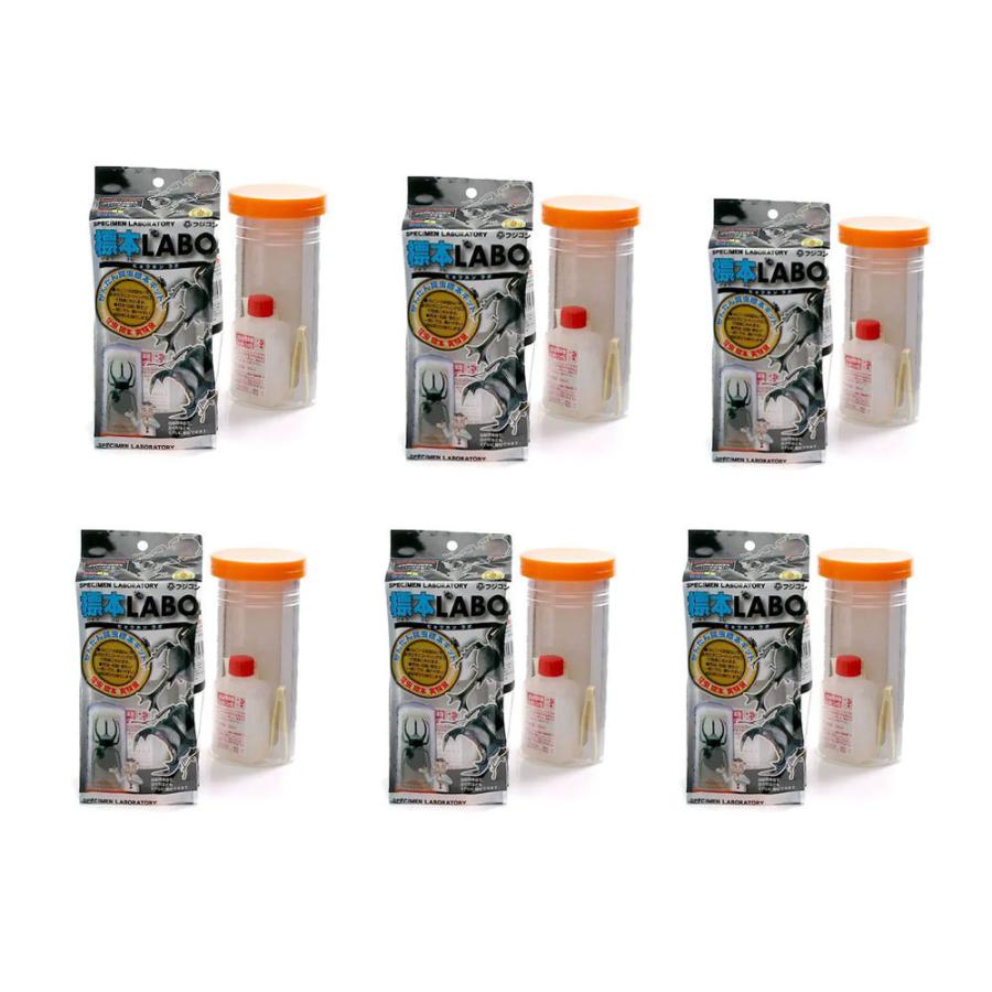 楽天市場】フジコン 標本LABO かんたん昆虫標本セット（1〜2匹用