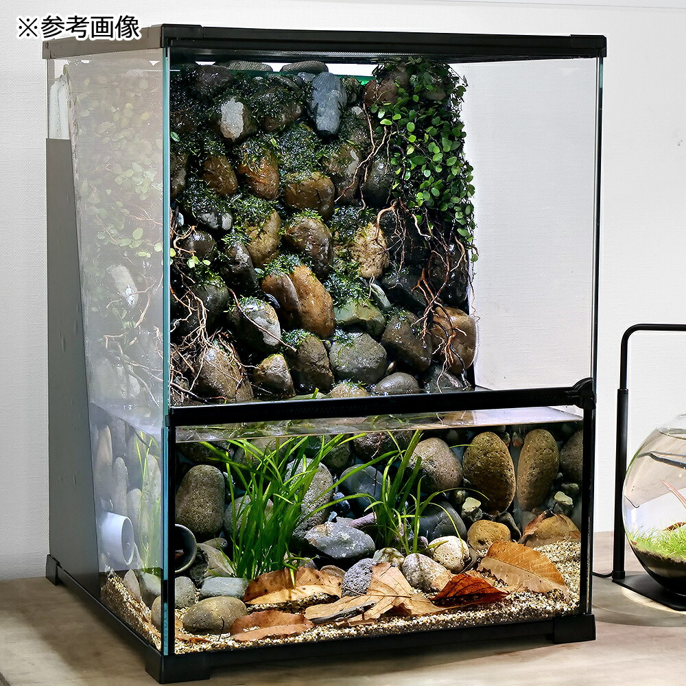 楽天市場】爬虫類ケージ テラスペース 45x45x60cm 穴2つ