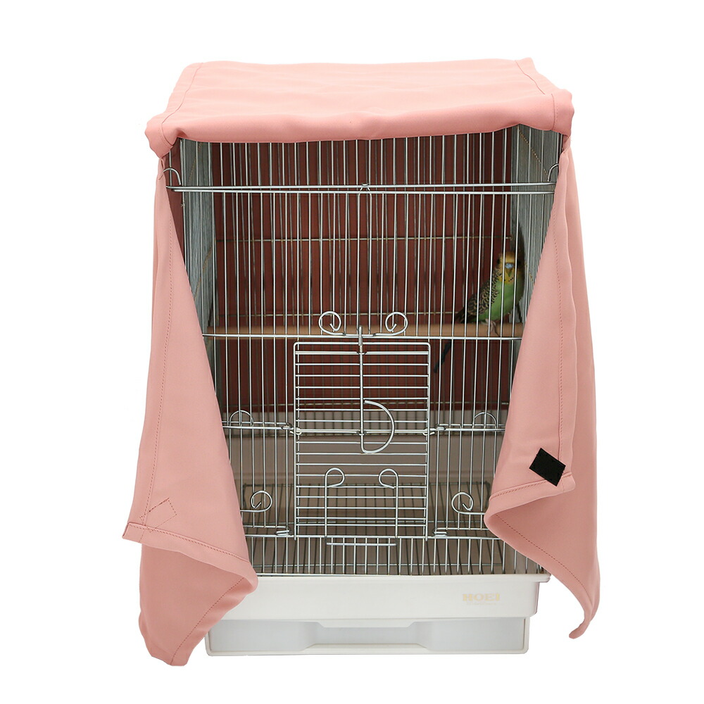 楽天市場】【3／5限定】当選確率2分の1！1等最大100