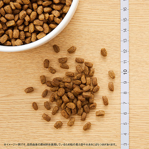 楽天市場】ニュートロ シュプレモ 超小型犬4kg以下用 成犬用 4kg