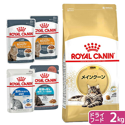 楽天市場】ロイヤルカナン 猫 メインクーン 成猫用 生後15ヵ月齢から