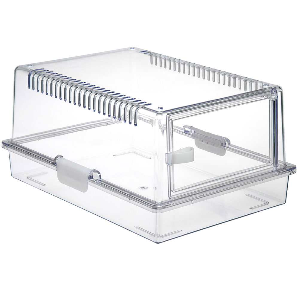 楽天市場】【3／5限定】当選確率2分の1！1等最大100％ 爬虫類