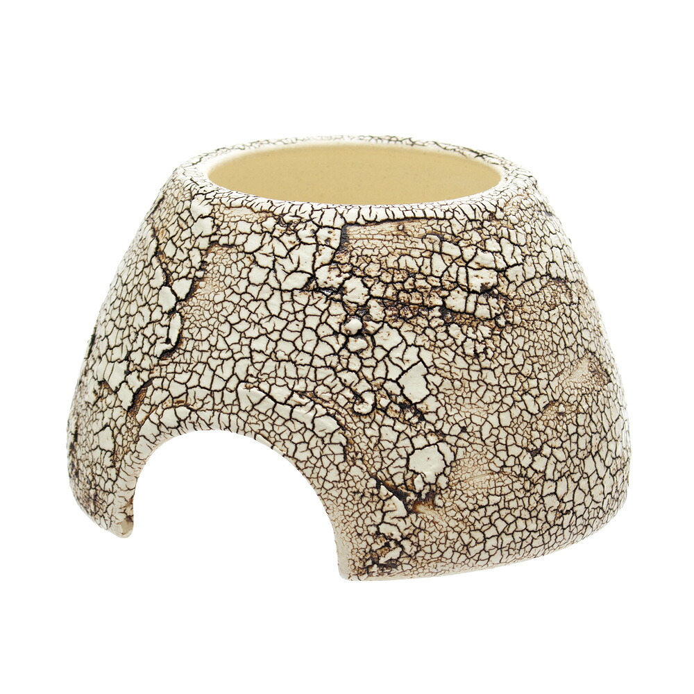 楽天市場】シェルター クラックウェットシェルター M 信楽焼 爬虫類