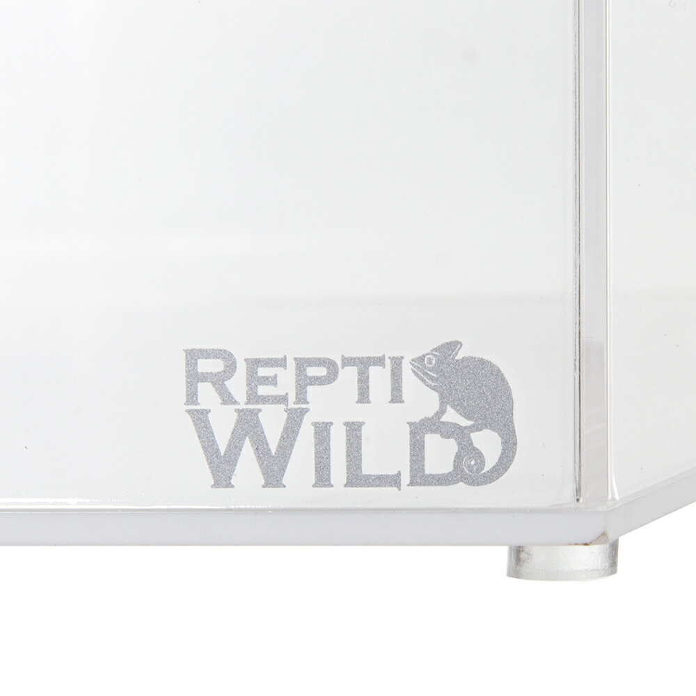 楽天市場】【3／5限定】当選確率2分の1！1等最大100％ 爬虫類