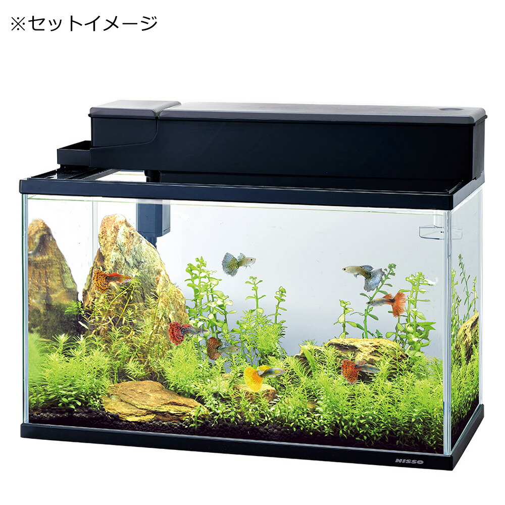 楽天市場】ニッソー スライドプラス600 水槽セット 60cm水槽