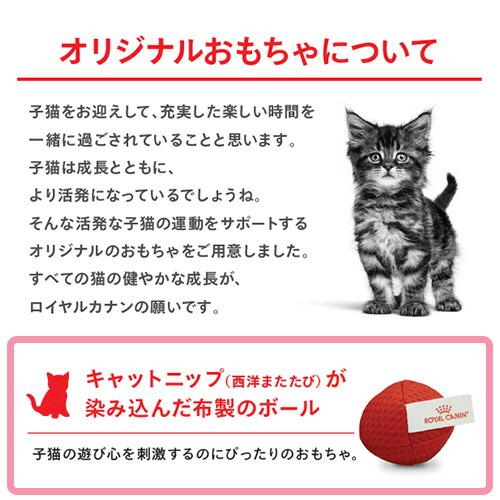 楽天市場】ロイヤルカナン 猫 マザー＆ベビーキャット 成長前期の子猫
