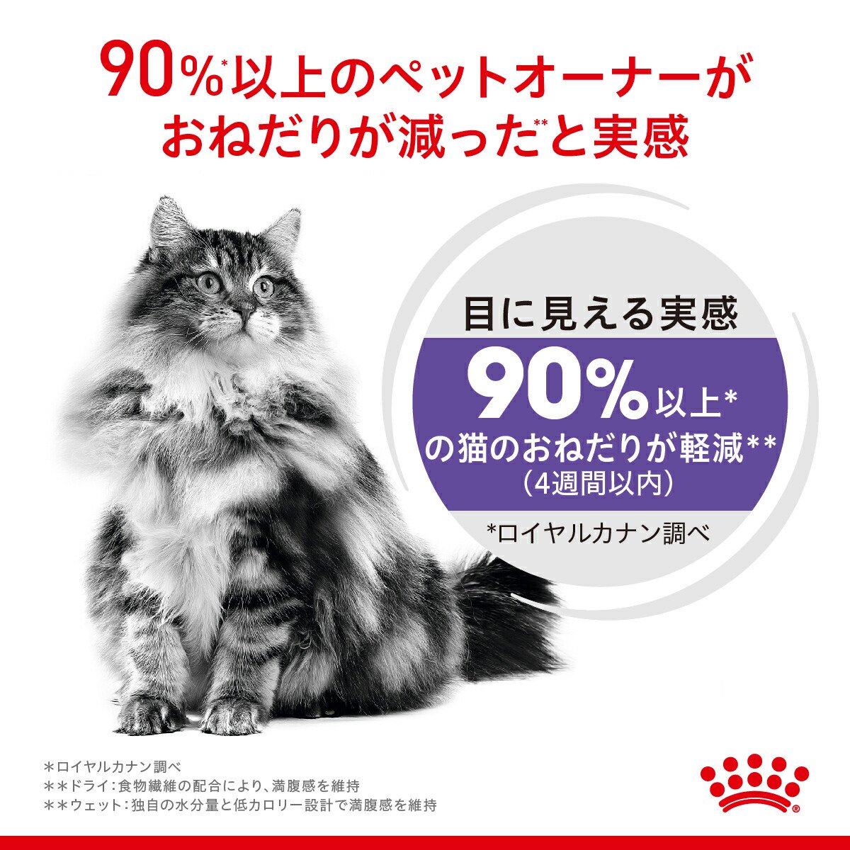 楽天市場】ロイヤルカナン 猫 おねだりの多い成猫用 ドライウェット