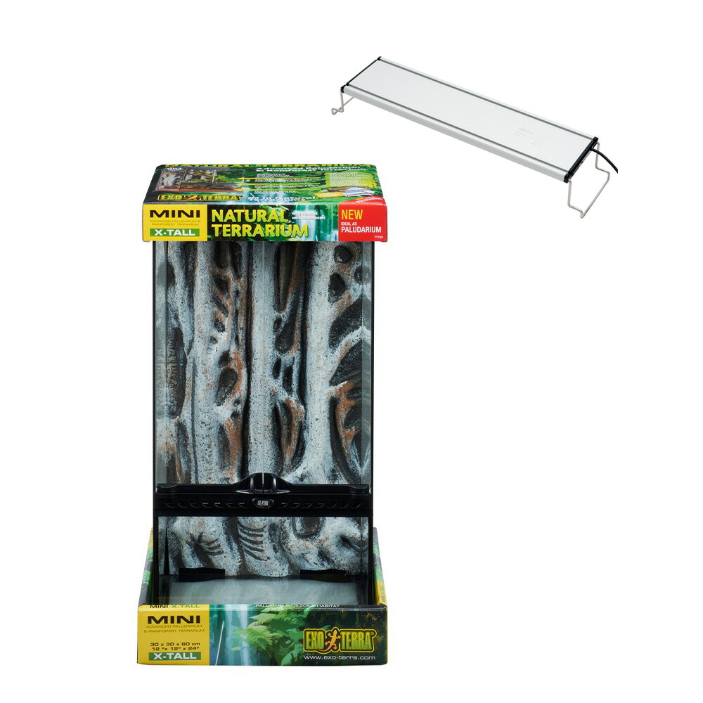 楽天市場】爬虫類ケージ GEX エキゾテラ グラステラリウム3060