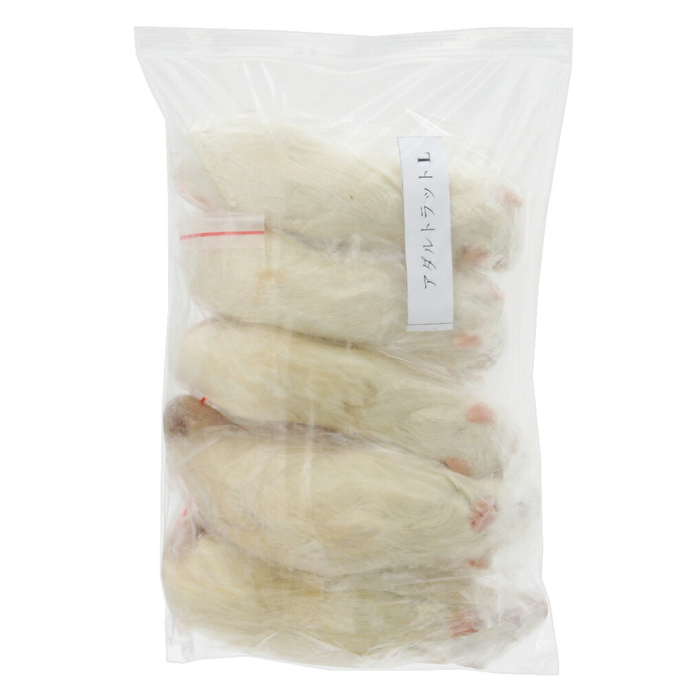 楽天市場】冷凍☆富城 アダルトラットL （5匹） 冷凍マウス 冷凍