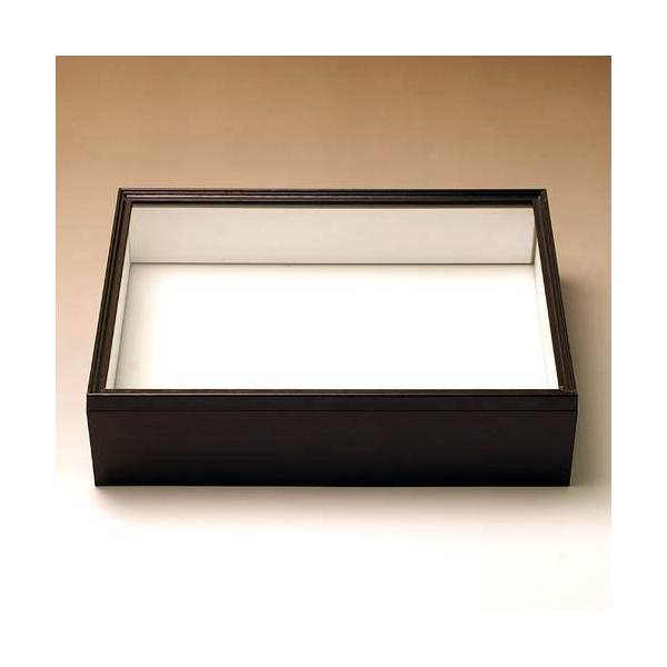 楽天市場】昆虫 標本箱 大の通販