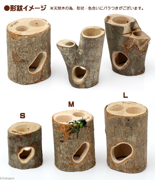 楽天市場】フジコン プレミアム インセクトシェルター M 昆虫