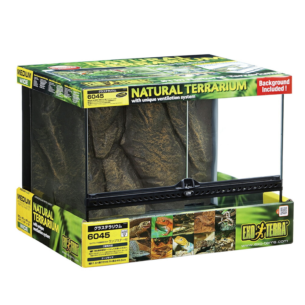 楽天市場】ケージ 爬虫類 60 30の通販