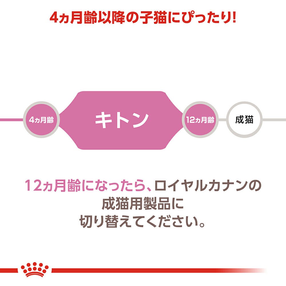 楽天市場】ロイヤルカナン 子猫 キトン 成長後期の子猫用 生後12ヵ月