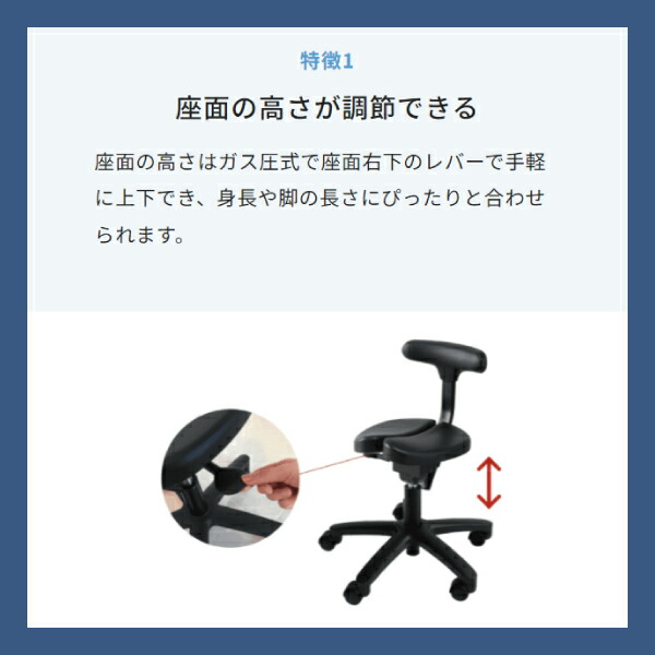 楽天市場】【送料無料】 アーユル・チェアー プレミアムモデル01 腰痛