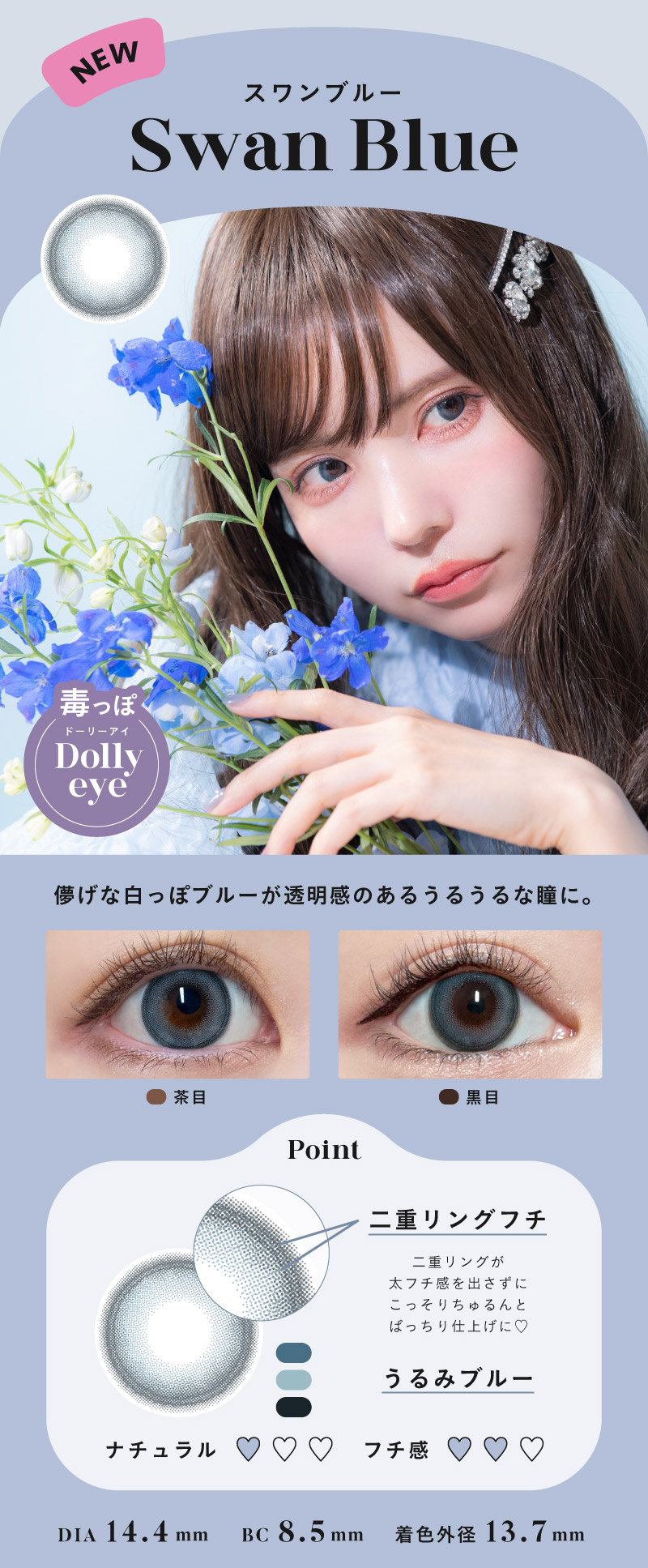 楽天市場】【10枚入】エンジェルカラー バンビ ワンデー【スワンブルー