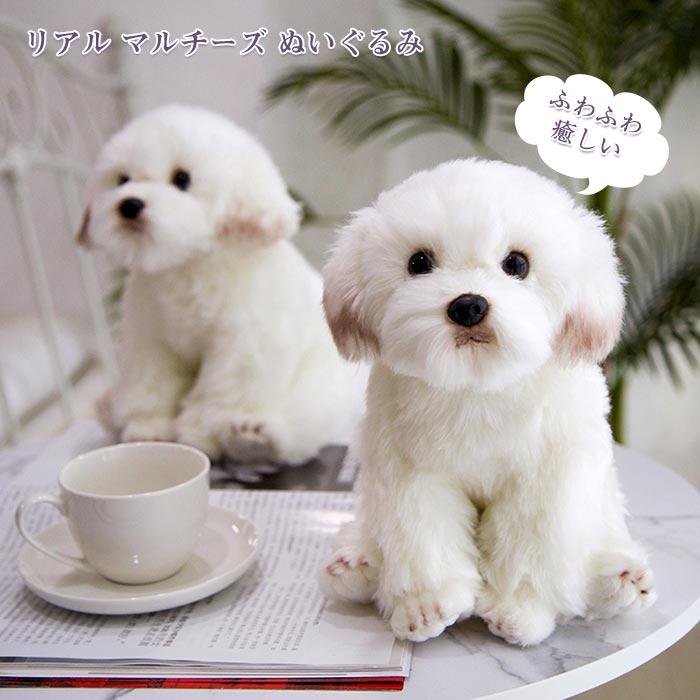 楽天市場】ぬいぐるみ ぬいぐるみシ ミュレーション マルチーズ 犬