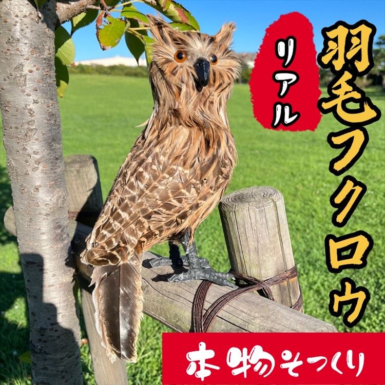 楽天市場】フクロウ置き物 縁起物フクロウ 鳥よけフクロウ 首が回る
