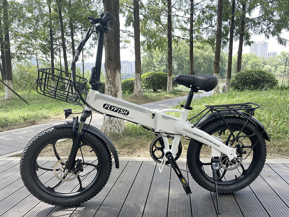 楽天市場】【型式認定取得済】 2024年モデル 電動アシスト自転車「X20