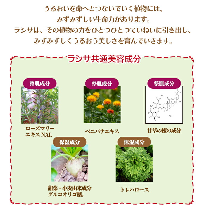 楽天市場】【☆エントリーP5倍+先着100円OFFクーポン 3/4-3/11】ナガセ