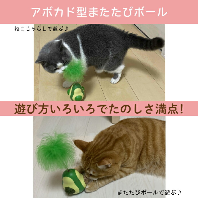 楽天市場】【☆エントリーでポイント5倍 3/11 1:59迄】アボカド型