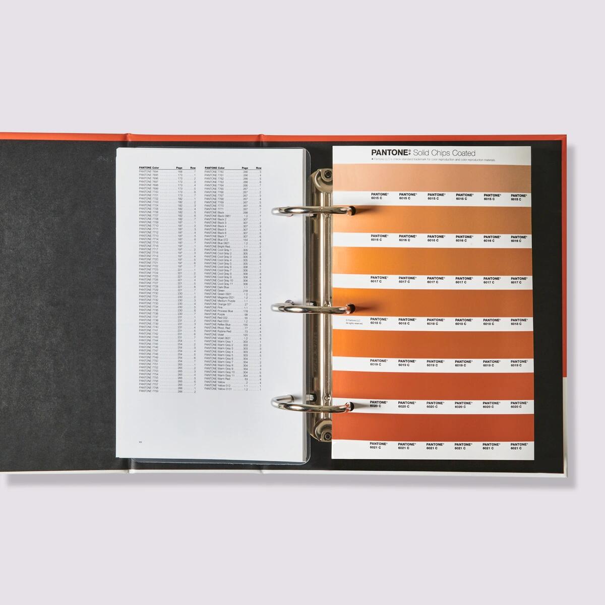 楽天市場】【SS-P10倍】PANTONE パントン ソリッドカラーセット 2023